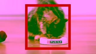 Purina Quality Cat Food Just Look for Our Name Ad Commercial Brand Imagery Photoshoot 2
