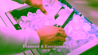 Thermador Inspire Refrigeration Envy with Thermadors New Collection Ad Commercial Brand Imagery Photoshoot 2