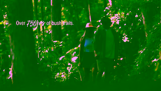 We Are Gold Coast Over 750km of bush trails Ad Commercial Brand Imagery Photoshoot 0