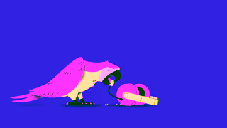 CompareClub Parrot Ad Commercial Brand Imagery Photoshoot 1