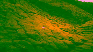 GOLD PEAK Tea Gold Peak Tea I More Valuable Than Gold 15 Ad Commercial Brand Imagery Photoshoot 0