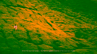 GOLD PEAK Tea Gold Peak Tea I More Valuable Than Gold 15 Ad Commercial Brand Imagery Photoshoot 2