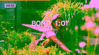 Bond University Bond 101 Sustainability Ad Commercial Brand Imagery Photoshoot 0