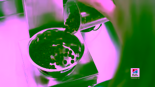 Hill's Hills Pet Nutrition Science Did That Ad Commercial Brand Imagery Photoshoot 2