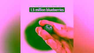 Lyka Pet Food One lightbulb moment kickstarted a new era of healthier dog food Ad Commercial Brand Imagery Photoshoot 2