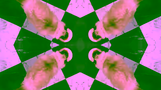 Chewy.com Chewy has delicious recipes from Fancy Feast Ad Commercial Brand Imagery Photoshoot 1