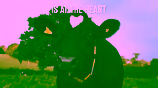 Yeo Valley 10s Social DeliciousAtHeart Oct24 Ad Commercial Brand Imagery Photoshoot 1