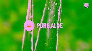 Herbal Essences Herbal Essences Sulfate Free Collection Ad Commercial Brand Imagery Photoshoot 1