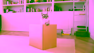 Purina PURINA ONE Immune Defence Plus Ad Commercial Brand Imagery Photoshoot 0