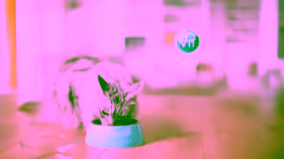 Purina PURINA ONE Immune Defence Plus Ad Commercial Brand Imagery Photoshoot 1