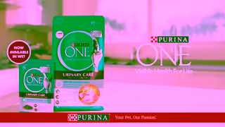 Purina PURINA ONE Immune Defence Plus Ad Commercial Brand Imagery Photoshoot 2
