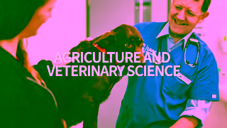 University Of Melbourne Study 100 online with the University of Melbourne Ad Commercial Brand Imagery Photoshoot 2