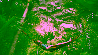 West Coast New Zealand Hammock Summer on the West Coast 24 15sec Ad Commercial Brand Imagery Photoshoot 1