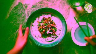 v2 Food v2food Update Your Plate Ad Commercial Brand Imagery Photoshoot 1