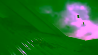 Allianz Care you can count on Ad Commercial Brand Imagery Photoshoot 0