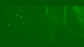 Universal Pictures Night Swim Only in theatres now New Year Party Ad Commercial Brand Imagery Photoshoot 2