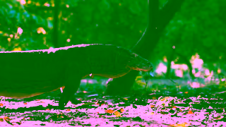 My Holiday Centre My Bali Bali Beyond Ad Commercial Brand Imagery Photoshoot 2