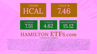 Hamilton ETFs Top Performing Canadian Bank ETF HCAL Hamilton Enhanced Canadian Bank ETF Ad Commercial Brand Imagery Photoshoot 2