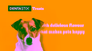 Pedigree Pedigree DENTASTIX Treats Support Oral Health with DENTASTIX Ad Commercial Brand Imagery Photoshoot 1