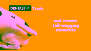 Pedigree Pedigree DENTASTIX Treats Support Oral Health with DENTASTIX Ad Commercial Brand Imagery Photoshoot 2