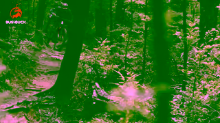 Bushbuck Bushbuck Adventure Sport 15 Ad Commercial Brand Imagery Photoshoot 1