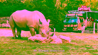 The Sun 03 Chessington Sun Savers 290125 15s FREE Ticket SUNCLUB StartSat Ad Commercial Brand Imagery Photoshoot 0