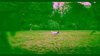 The Greenies Dental Treats Greenies STASH Make Health A Treat 15sec 2024 Ad Commercial Brand Imagery Photoshoot 1