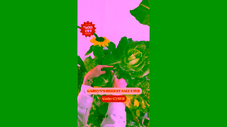 Gardyn Grow All Year Round Up to 45 off with code CYBER Ad Commercial Brand Imagery Photoshoot 0