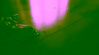 Midea Midea Home Appliances Ad Commercial Brand Imagery Photoshoot 0