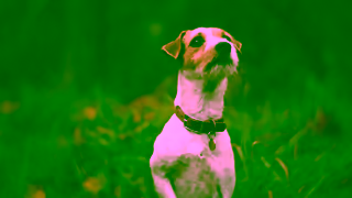 Best Western Lifes a Trip Ad Commercial Brand Imagery Photoshoot 0