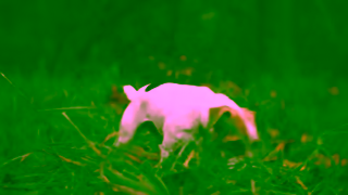 Best Western Lifes a Trip Ad Commercial Brand Imagery Photoshoot 1