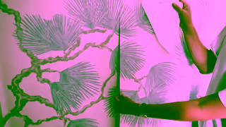 Sandberg Wallpaper Sandberg Wallpaper Swedish Wallpaper Art Ad Commercial Brand Imagery Photoshoot 0