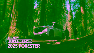 Subaru 2025 Subaru Forester Trust the Real Search Engine Interior Commercial Ad Commercial Brand Imagery Photoshoot 2