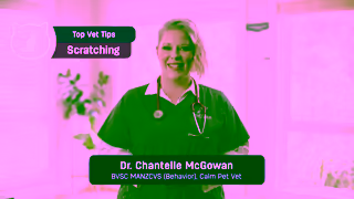 FELIWAY AU FELIWAY Top Vet Tips for Scratching 15s Ad Commercial Brand Imagery Photoshoot 0