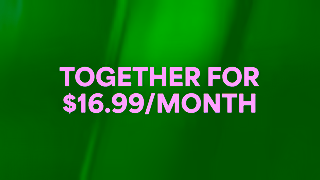 Disney Plus The Ultimate Bundle Ad Commercial Brand Imagery Photoshoot 0