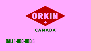 ORKIN Trust the Best In Pests Orkin Canada Ad Commercial Brand Imagery Photoshoot 2
