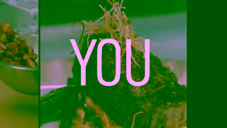 MGM RESORTS A Vibey Sushi Spot Ad Commercial Brand Imagery Photoshoot 0