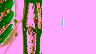 ezCater Your business tool for food Ad Commercial Brand Imagery Photoshoot 2