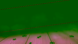 Hot Shot Insecticides HS ARS Ant Kills With One Shot 16x9 15s Ad Commercial Brand Imagery Photoshoot 1