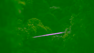 G Adventures Costa Rica with G Adventures Ad Commercial Brand Imagery Photoshoot 0