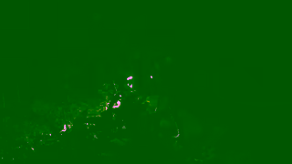 G Adventures Costa Rica with G Adventures Ad Commercial Brand Imagery Photoshoot 1