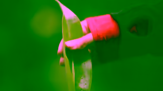 G Adventures Costa Rica with G Adventures Ad Commercial Brand Imagery Photoshoot 2