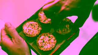 Little Ceasars Pizza Whoa Ad Commercial Brand Imagery Photoshoot 0