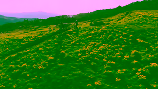 GIANT Bicycles DreamBig The AllNew Faith Range 15second Giant Bicycles Ad Commercial Brand Imagery Photoshoot 0