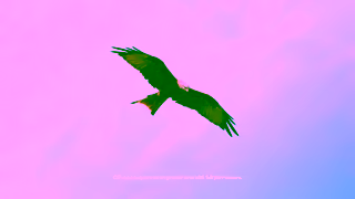 Land Rover Range Rover Sport Velocity Blue featuring Theo James Ad Commercial Brand Imagery Photoshoot 0