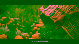 Colombia Travel Discover and enjoy the flavors of the six regions of the country of beauty Ad Commercial Brand Imagery Photoshoot 0