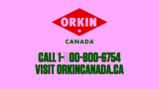 ORKIN Tired Of The Squeak Orkin Canada Ad Commercial Brand Imagery Photoshoot 2