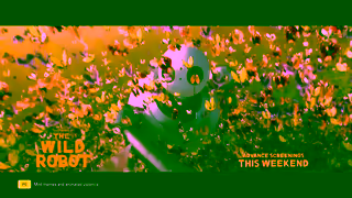 Universal Pictures The Wild Robot September Ad Commercial Brand Imagery Photoshoot 0