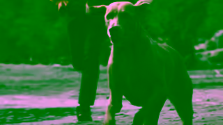 Blue Buffalo VID YouTube 15s NTH CallOnBLUE EN NIN PBWD SAS NP NL BBC0363 LM na Ad Commercial Brand Imagery Photoshoot 2