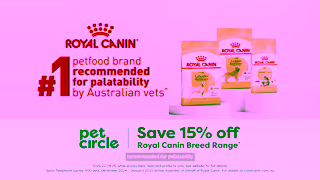 PetCircle RC RMA PC AUG2025 BURST01 16x9 20s V03 M WIP01 Ad Commercial Brand Imagery Photoshoot 1